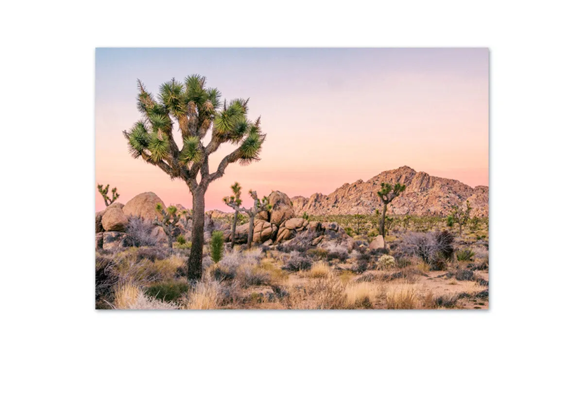 Desert Joshua Trees | Canvas Wall Art Print