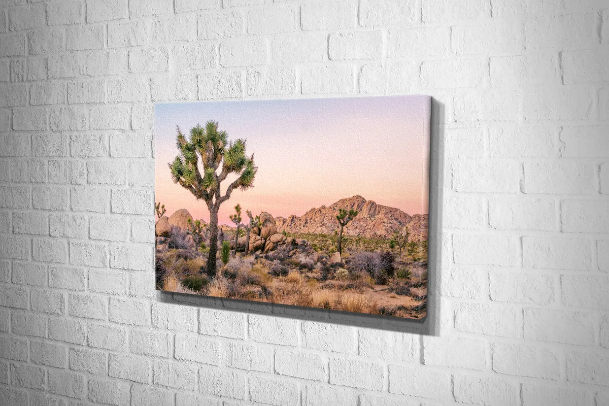 Desert Joshua Trees | Canvas Wall Art Print