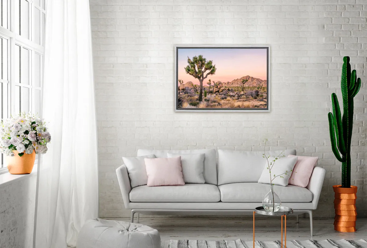 Desert Joshua Trees | Canvas Wall Art Print