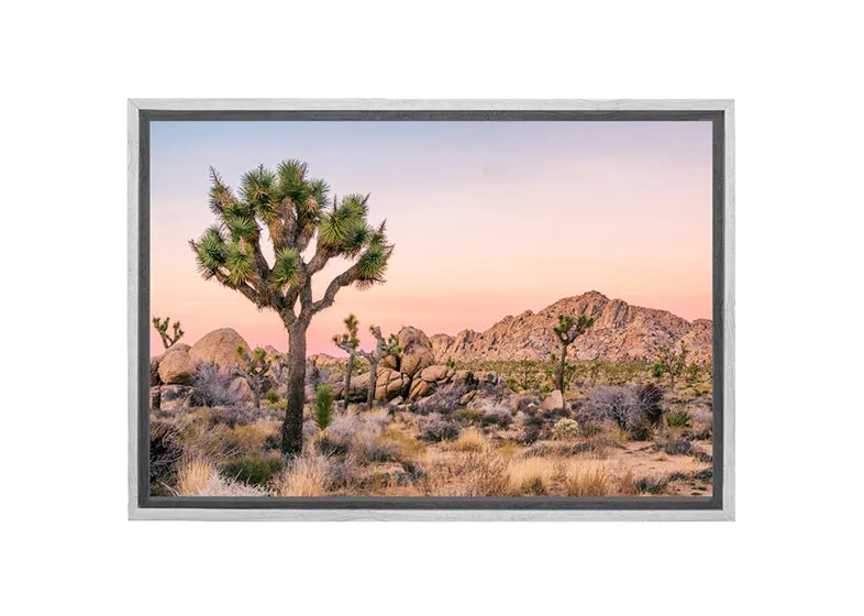 Desert Joshua Trees | Canvas Wall Art Print